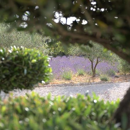 Villa Otilia-Bed And Breakfast-Chambres D'Hotes En Provence Rians  Экстерьер фото