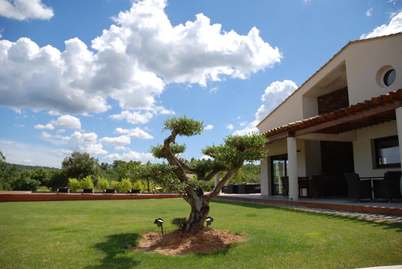 Villa Otilia-Bed And Breakfast-Chambres D'Hotes En Provence Rians  Экстерьер фото