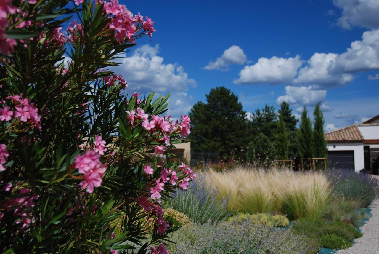 Villa Otilia-Bed And Breakfast-Chambres D'Hotes En Provence Rians  Экстерьер фото
