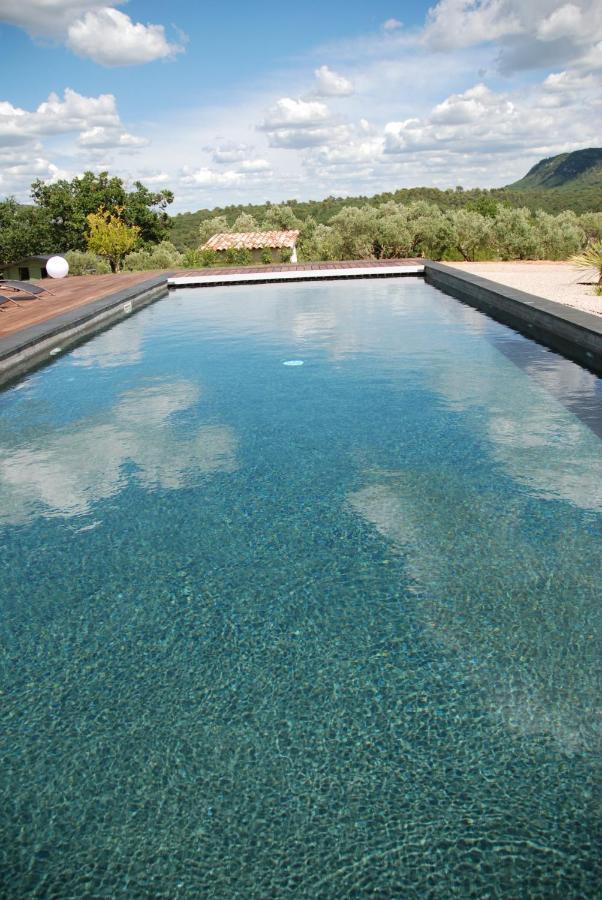 Villa Otilia-Bed And Breakfast-Chambres D'Hotes En Provence Rians  Экстерьер фото