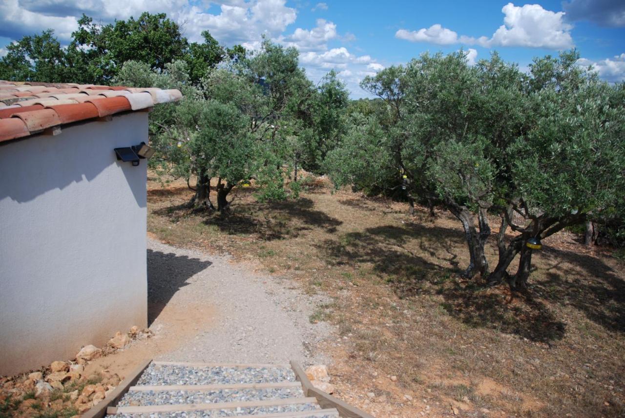 Villa Otilia-Bed And Breakfast-Chambres D'Hotes En Provence Rians  Экстерьер фото