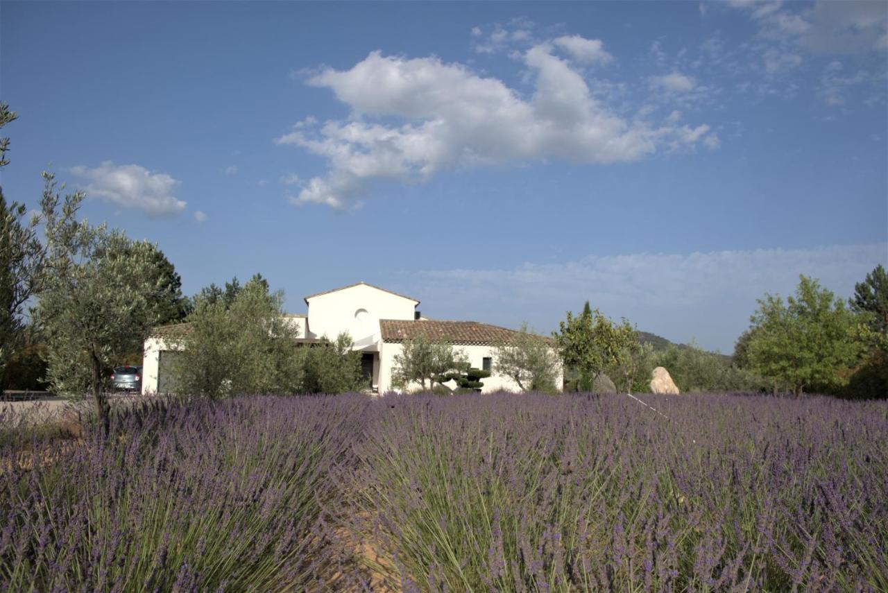 Villa Otilia-Bed And Breakfast-Chambres D'Hotes En Provence Rians  Экстерьер фото